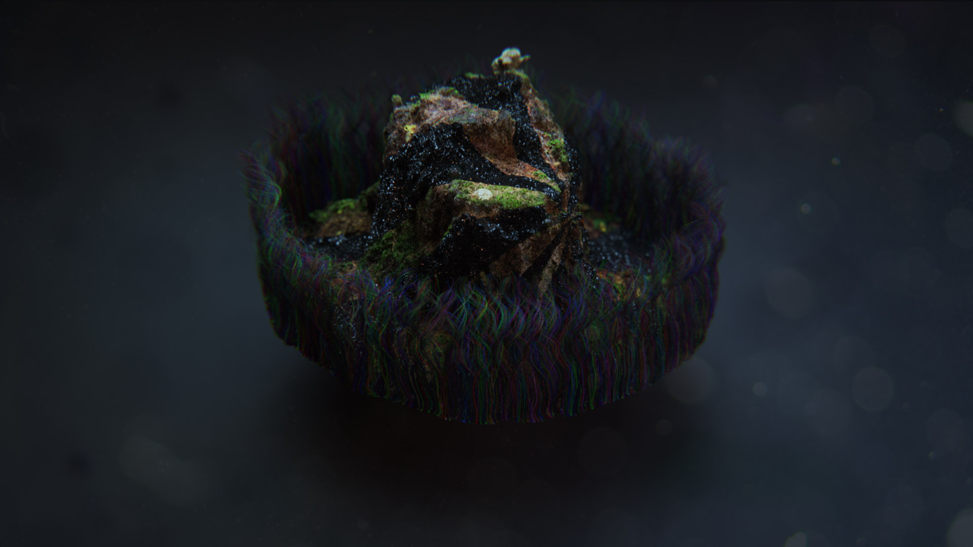C_01_FULLCOMP_00105